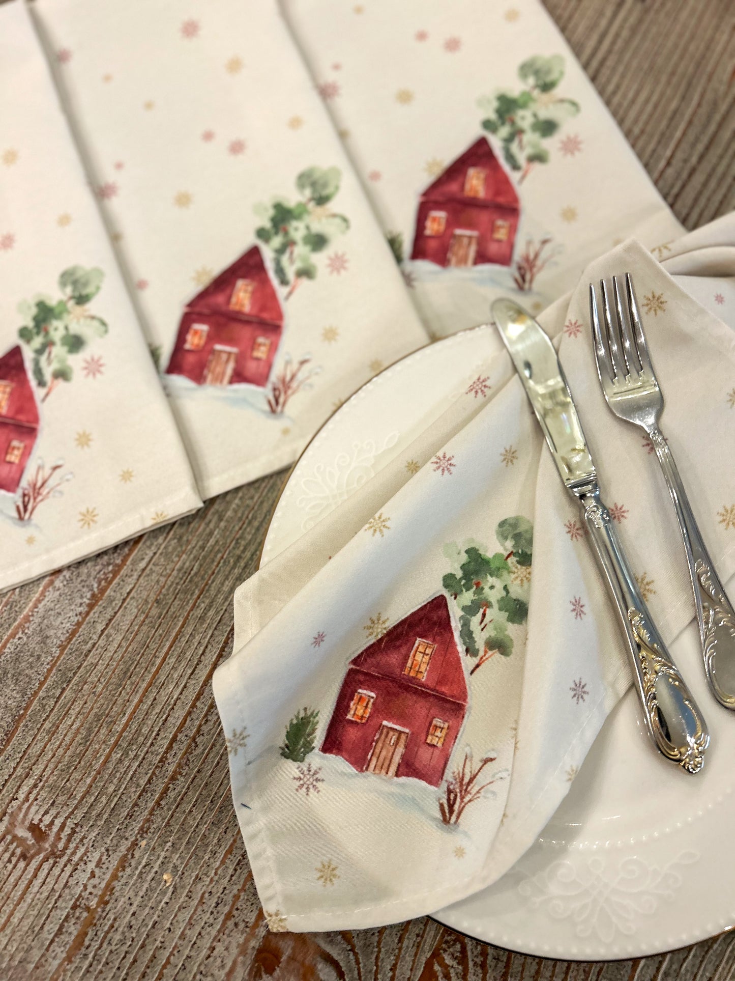 Snow Reverie Placemat Set