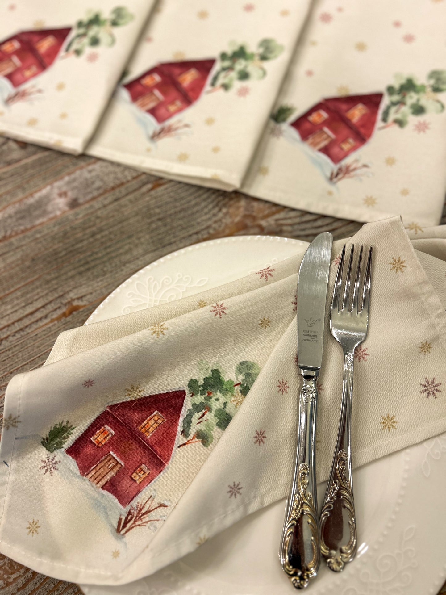 Snow Reverie Placemat Set
